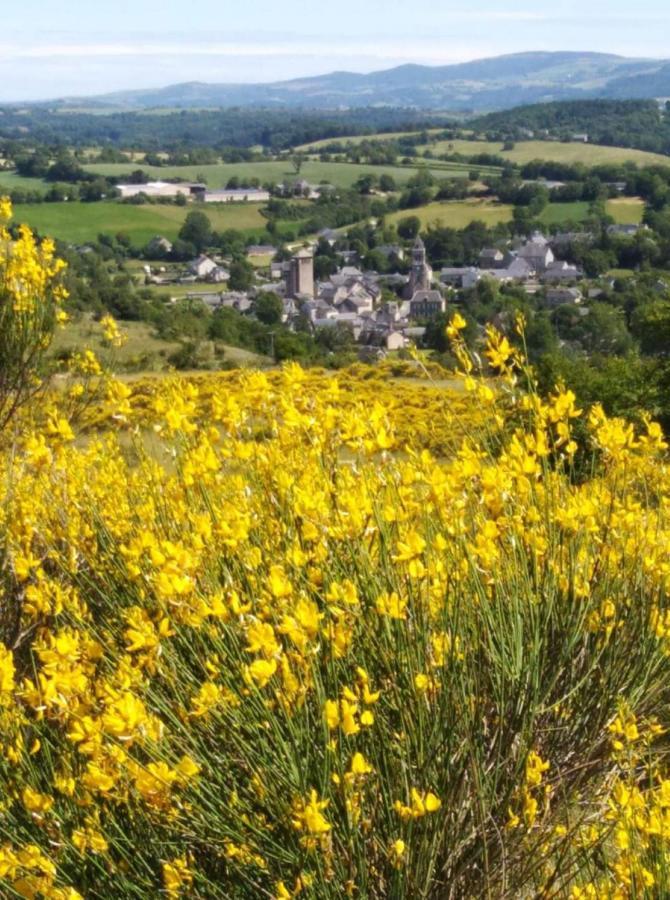 Le Gite De La Vieille Eglise De Coussergues ภายนอก รูปภาพ